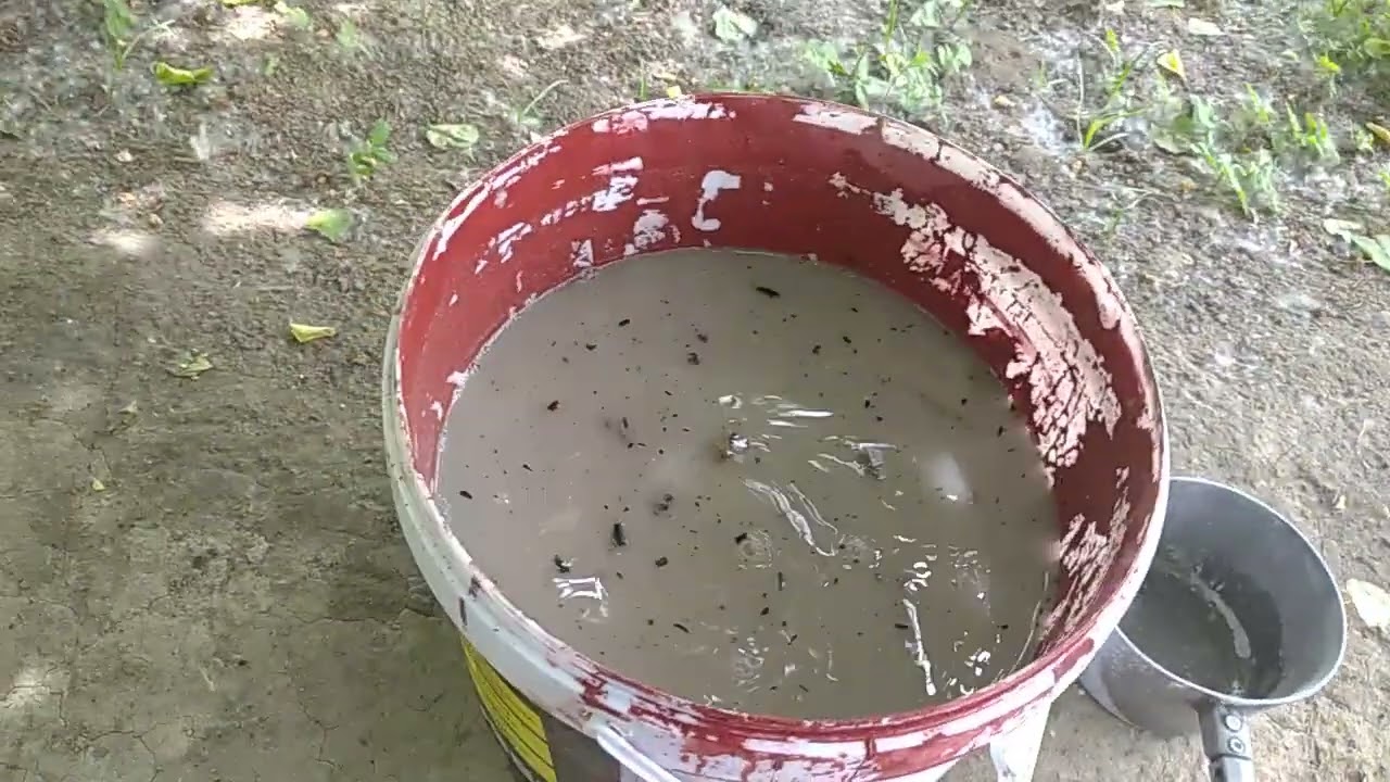 кулни ташламанг Кул хакикий озука