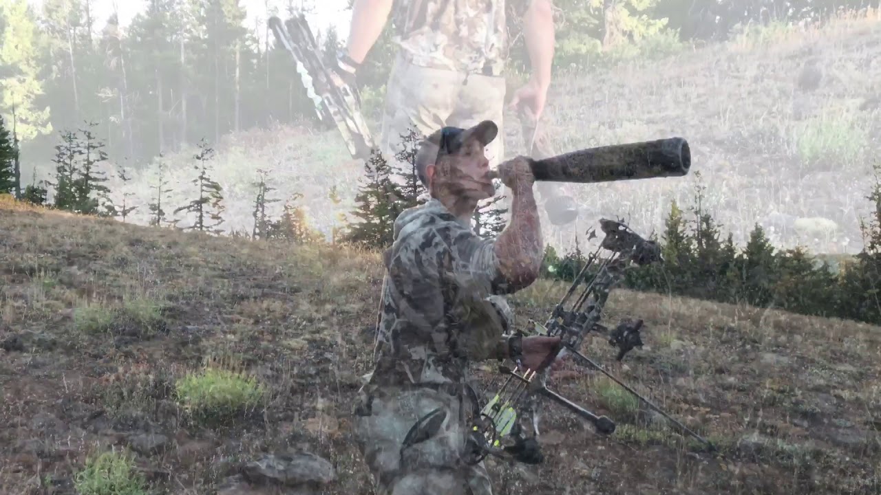 2017 BACKCOUNTRY ARCHERY ELK HUNT YouTube