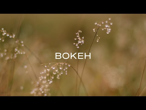 How to get a bokeh ? Camera settings for beginners