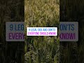 9 Legal Dos and Donts Everyone Should Know!