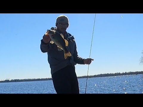 Sutton lake bass fishing 02/18/2023 (YOLOtek)