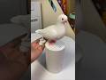 Hand wash dispenser ,shop now #gifts