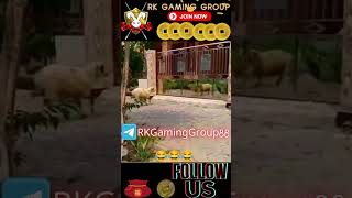 Funny  shorts  rk88 funny rkgaminggroup  tiktok  tiktokviral