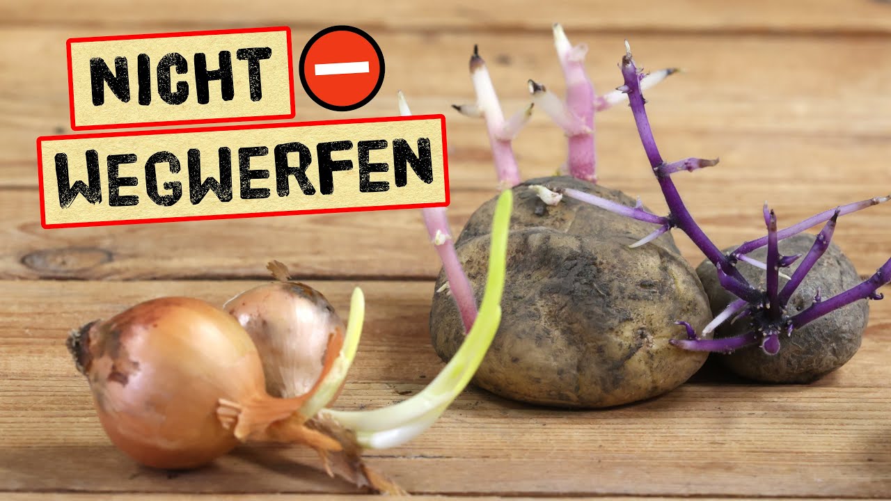 Keimende Kartoffeln & Zwiebeln nicht wegwerfen – DAS kannst du damit machen