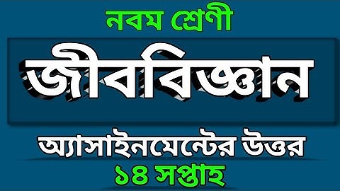 Class 9 | ১৪তম সপ্তাহের জীববিজ্ঞান এসাইনমেন্ট এর  উত্তর