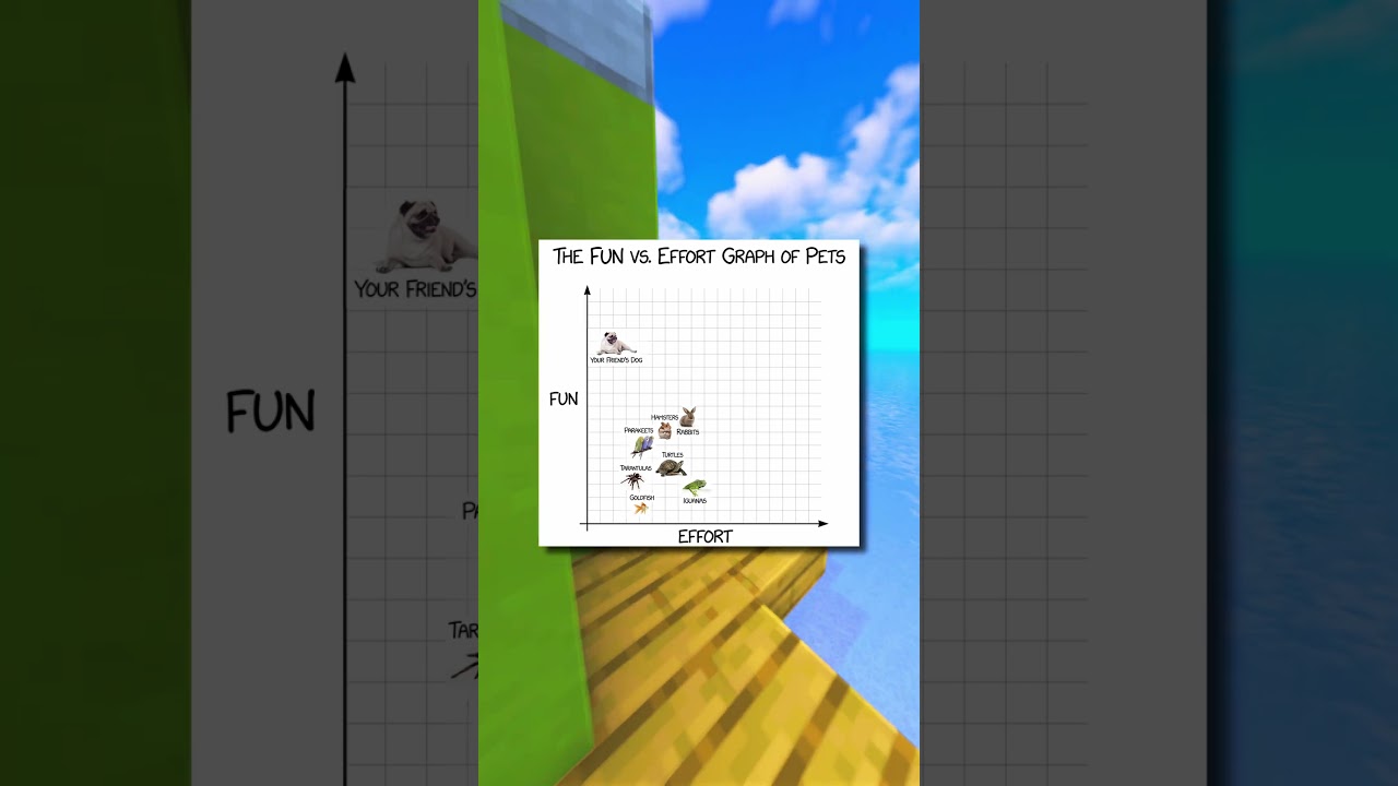 The Fun Versus Effort Graph of Pets! 🤣🤣