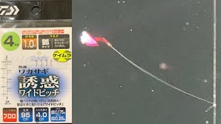 ダイワ クリスティア 快適ワカサギKC 誘惑ワイドピッチ(マルチ) 水中アクション映像