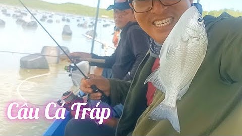 Ra sông câu được bầy Cá Tráp tại Giàn Hàu.