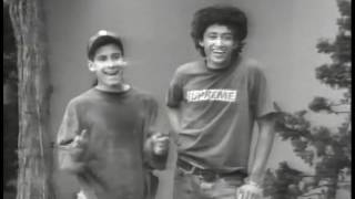 Paulo Diaz / Powell Peralta "Propaganda" (1990)