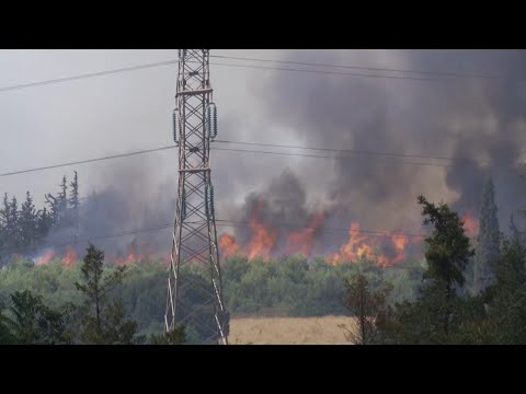 საბერძნეთში ტყის ხანძრებს ებრძვიან