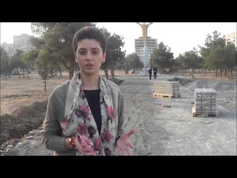 ახალგაზრდული ფორუმის წარმატებული ინიციატივა, ლეონიძის სკვერის რეაბილიტაცია