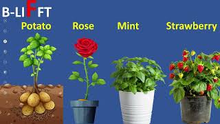 EdTech Science 2 Unit 1 B LIFFT 11