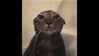 It's not so bad- sped up