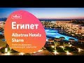 Отели сети Pickalbatros Hotels & Resorts Шарм-Эль-Шейх, Египет. Обзор отелей