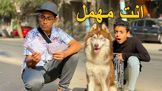 ولد يعمل ساعي البريد اهمل كلب هاسكي .. فماذا فعل به ؟