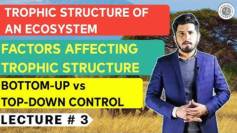 03 Trophic Structure of an Ecosystem, Bottom-up & Top-down control of trophic structure | HINDI/URDU