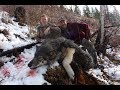 Wolf hunt shot and killed all on video - Stuckntherut