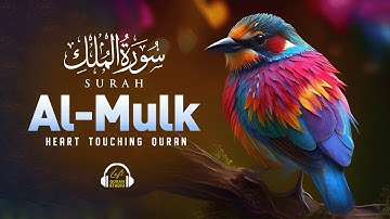 Surah Al-Mulk سورة الملك - Deep Emotional Healing & Relaxation Through Quranic Beauty #lofiquran