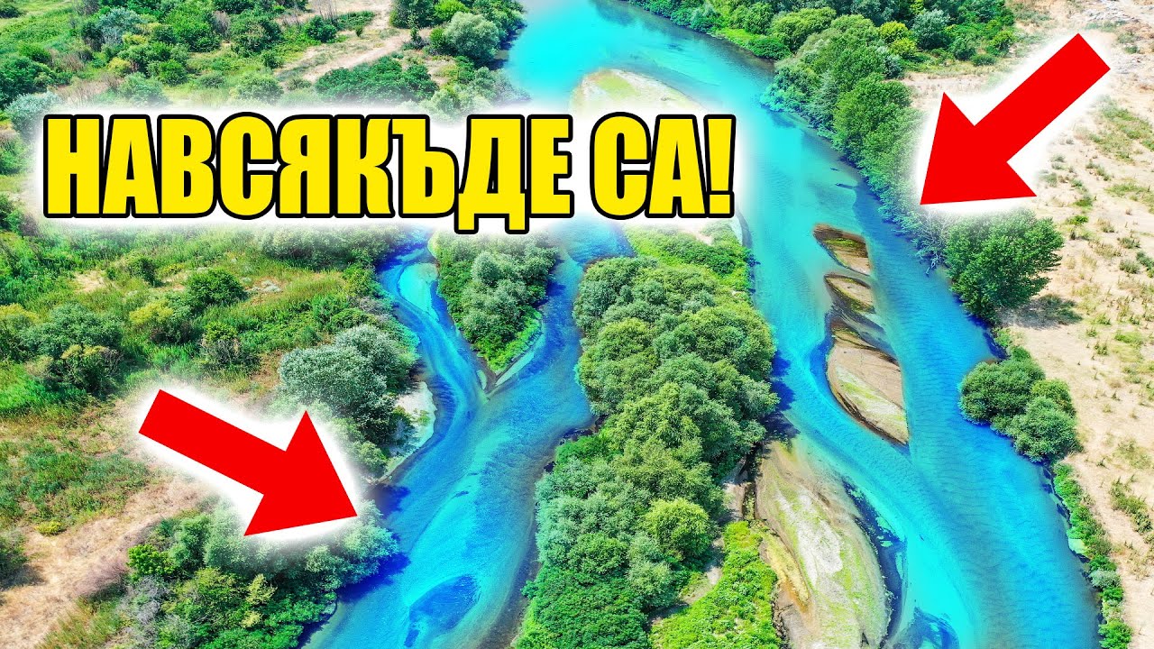 НАВСЯКЪДЕ СА! НЕ бях ХВАЩАЛ ТОЛКОВА МНОГО риби на река Марица! Риболов на кефал.