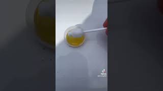 How to remove spiders and ants home remedies￼