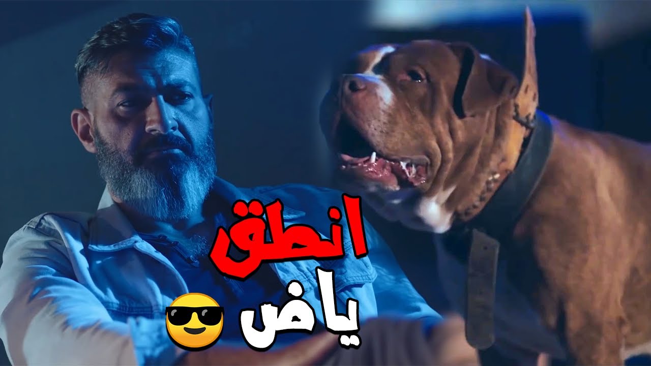 شوف رحيم عمل ايه عشان يعرف مكان اخوه 