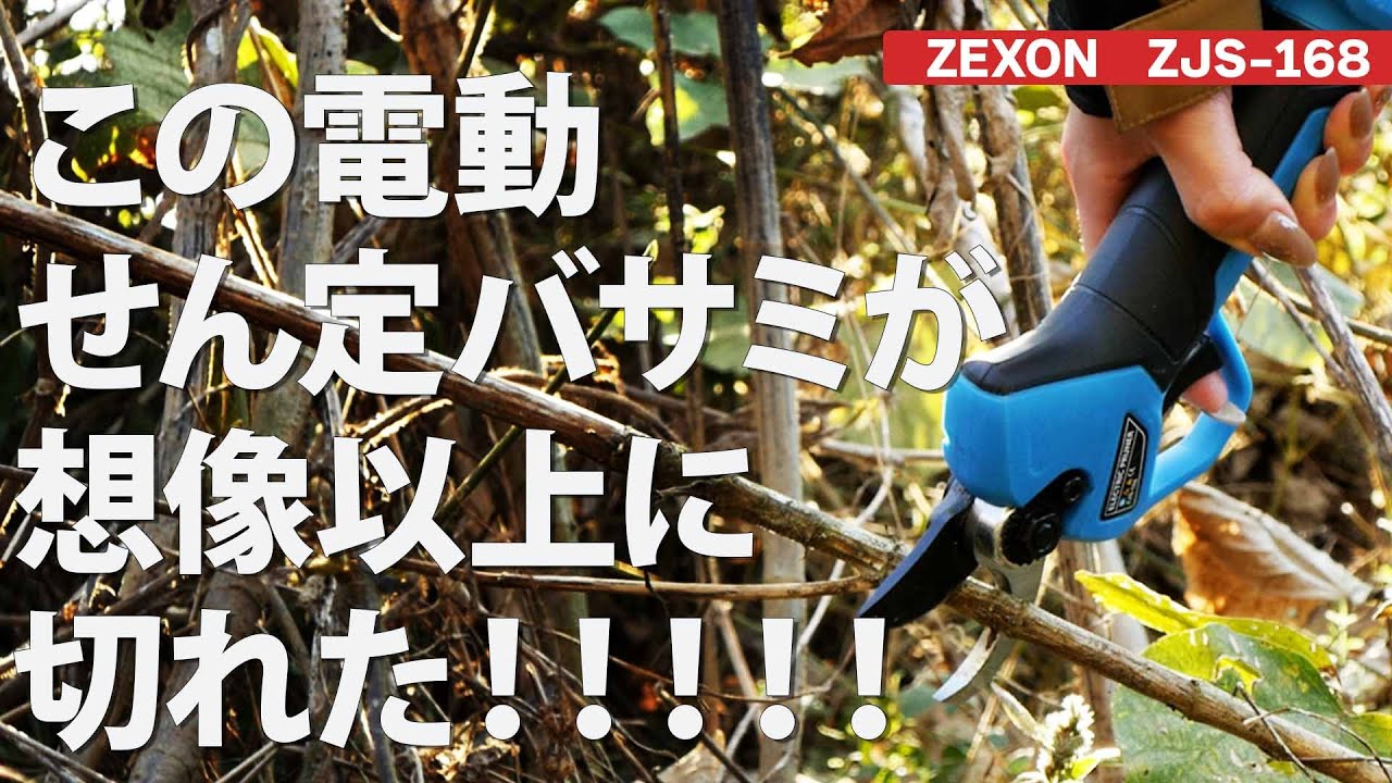 さちともページです The TOMODACHI！絵本発売スペシャルセット / The TOMODACHI！