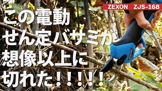 ☘️さん専用 mqdefault.jpg