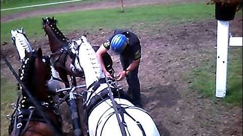 Marcel de Vries H2 Diepenheim [strengen]