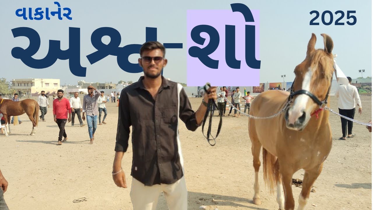ગુજરાતનો સૌથી મોટો અશ્વ - શો 2025 | વાકાનેર | Vadher mayur vlog