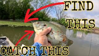 EASY Way To CATCH Bluegill And Shellcracker All SPRING Long! #thenextcast