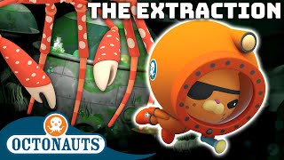 ​@Octonauts  ⚒ Octopod Extraction ✨ | 50 Mins+ | Cartoons for Kids | Underwater Sea Education