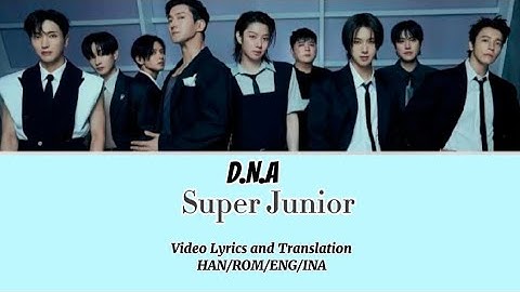 Mix-Video Lyrics Eng sub/Sub Indo "D.N.A" by Super Junior,album ke 12,Super Show 10