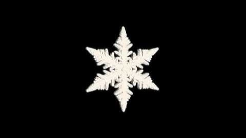 Growth of a snowflake