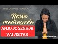 🕊️ Hoje Deus Vai Entrar Com Providência Na Sua Casa#jesus #fe #amor #reflexão #podcast #gratidão