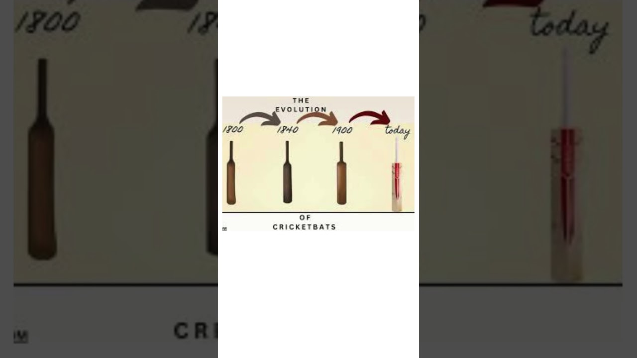 cricket bats evolution|| 
