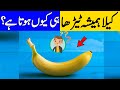 Why Banana Always Curved? | Other Top Amazing Facts | Brain Facts