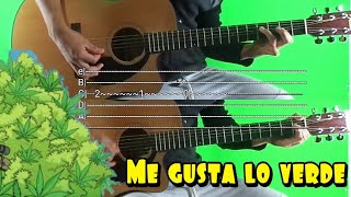 Cover ME GUSTA LO VERDE Requinto Guitarra y Tabs