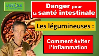 Digestion difficile et problème aux Intestins : pourquoi et comment TOUJOURS cuire les légumineuses