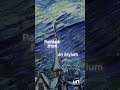 The True Story Behind Starry Night  #deepzoom #slowlooking #vangogh