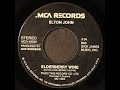 Elton John Elderberry Wine Lyrics mp3