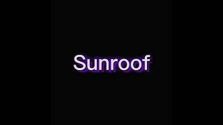 Download lagu Sunroof Audio Edit   Credit If Use!!  mp3
