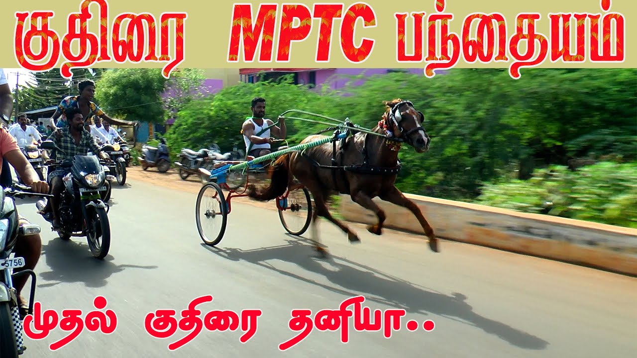 சிவங்கை மாவட்டம் சிவங்கை   சீமை   பந்தயம் 03.09.2023