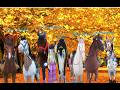 THE DIAMOND CATS STARSTABLE ep#297