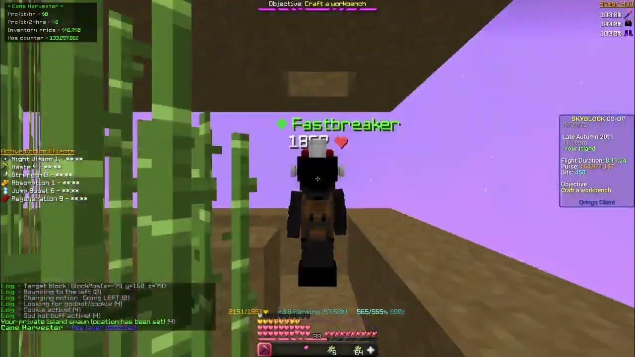 The Best Sugarcane Farming Script in Hypixel Skyblock YouTube