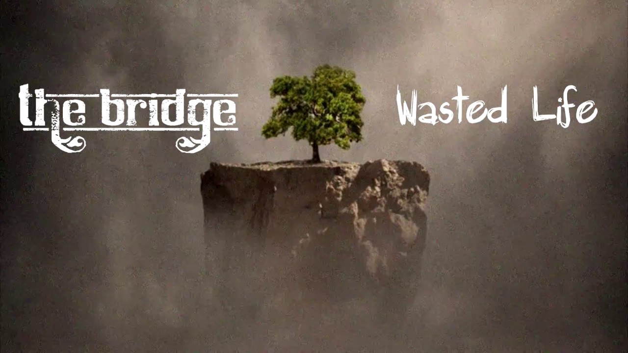 The Bridge - Wasted Life (Feat. Liz Tapia) - Remix
