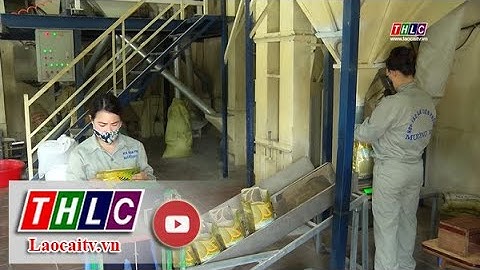 Nâng cao năng lực hoạt động của các hợp tác xã nông nghiệp | THLC