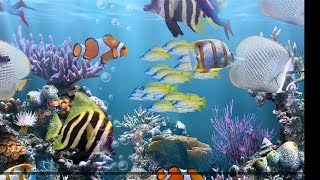 The Real Aquarium HD - App Review - Amazing Wallpaper Application screenshot 3