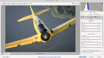 3  A VERY Quick Tour of the Camera Raw Interface