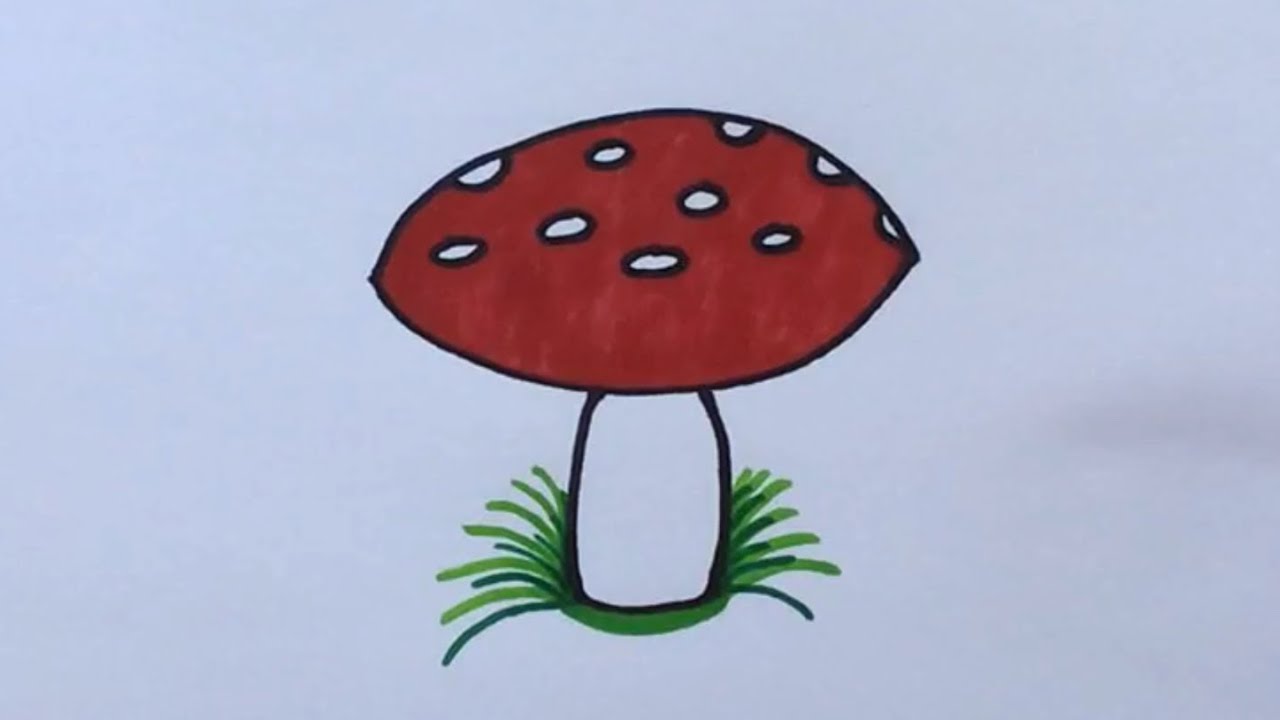 How to draw a Toad Stall ✏️