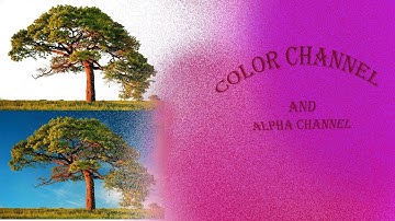 Selecting Objects Using Alpha Channel||How To Remove Background #photoshop #mikhaelsubedi